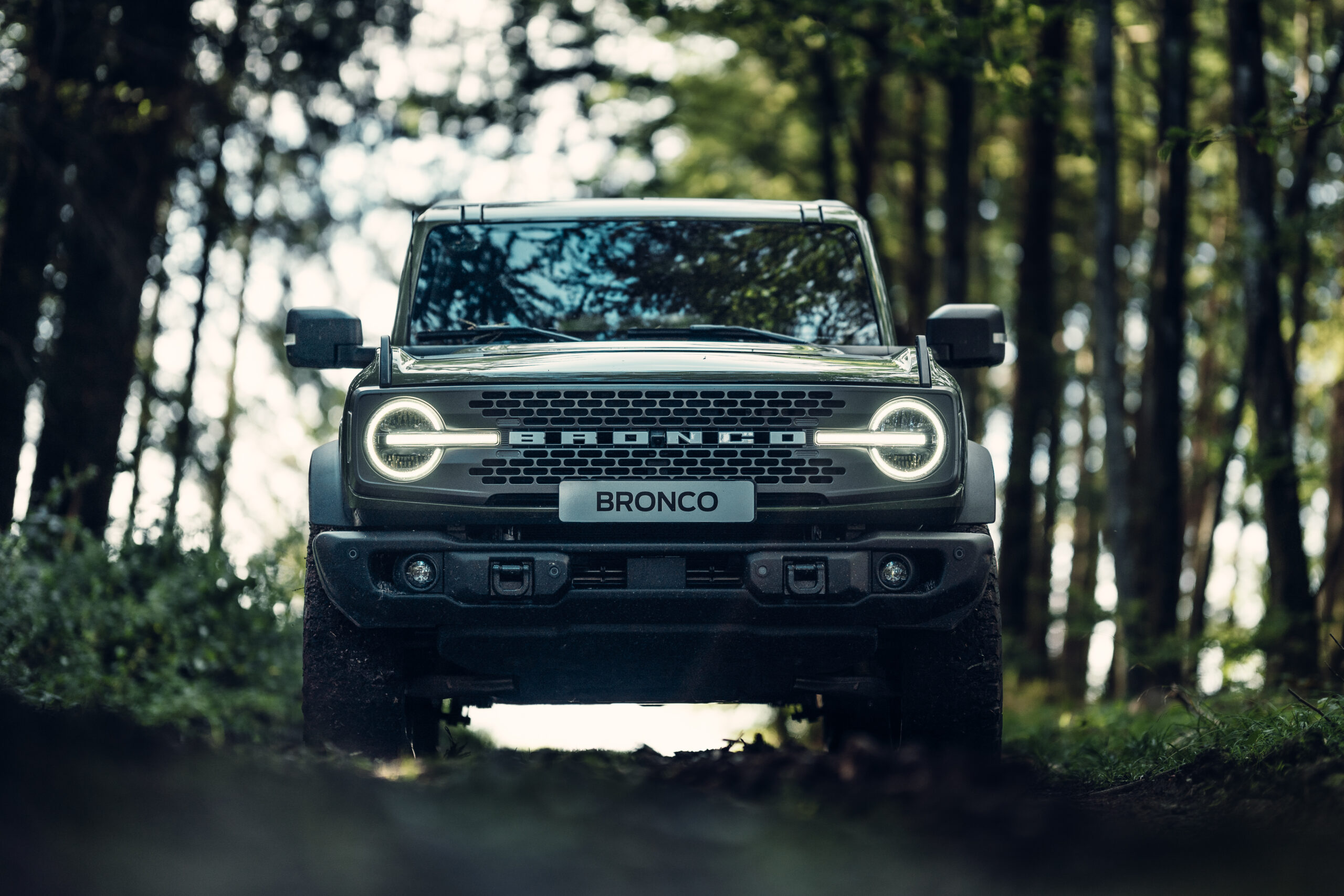 Ford Storz